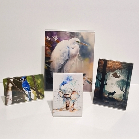 Noblecaptures Other - 4 Piece Framed‎ Set Mix of Art Prints